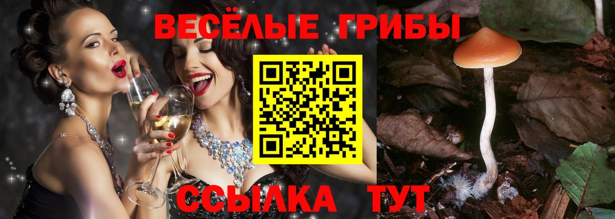 Галлюциногенные грибы MAGIC MUSHROOMS  Вход с VPN  Хасавюрт  Галлюциногенные грибы Psilocybe 